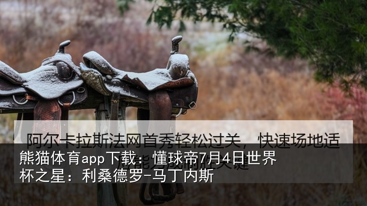 熊猫体育app下载：懂球帝7月4日世界杯之星：利桑德罗-马丁内斯