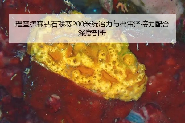 理查德森钻石联赛200米统治力与弗雷泽接力配合深度剖析