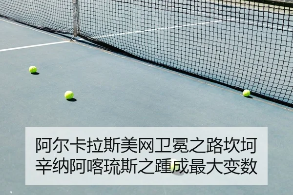 a-er-ka-la-si-mei-wang-wei-mian-zhi-lu-kan-ke-xin-na-a-ka-liu-si-zhi-zhong-cheng-zui-da-bian-shu-2-873.jpg